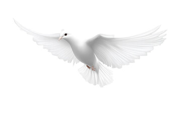 Obraz premium White dove of peace soaring gracefully above with wings spread wide against a clear background, embodying hope and tranquility in flight