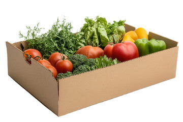 Colorful cardboard box filled with fresh vegetables including tomatoes, broccoli, lettuce, and bell peppers in a well-lit kitchen setting