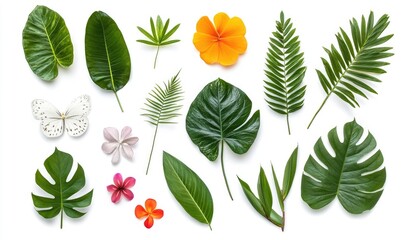 Tropical leaves, flowers, and butterfly on white