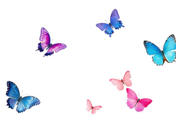 Vibrant butterflies in varied colors surrounded by delicate flowers on a white background capturing the essence of nature's beauty