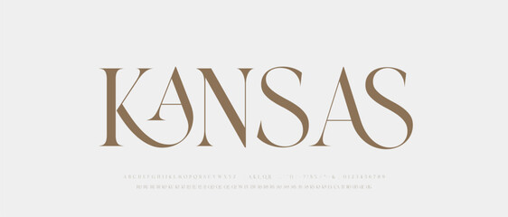 Modern Luxury alphabet letters font. Classic Elegant Modern Serif Lettering Minimal Fashion Logo. Typography decoration fonts for branding, wedding, logos. vector illustration