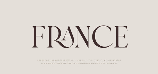 Modern Luxury alphabet letters font. Classic Elegant Modern Serif Lettering Minimal Fashion Logo. Typography decoration fonts for branding, wedding, logos. vector illustration