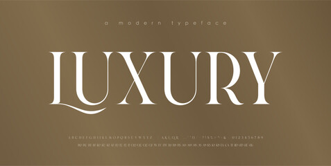 Modern Luxury alphabet letters font. Classic Elegant Modern Serif Lettering Minimal Fashion Logo. Typography decoration fonts for branding, wedding, logos. vector illustration