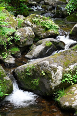 高山市宇津江四十八滝