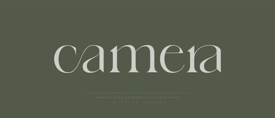 Modern Luxury alphabet letters font. Classic Elegant Modern Serif Lettering Minimal Fashion Logo. Typography decoration fonts for branding, wedding, logos. vector illustration