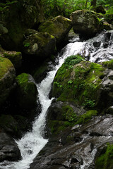 高山市宇津江四十八滝