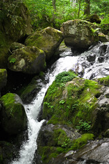 高山市宇津江四十八滝