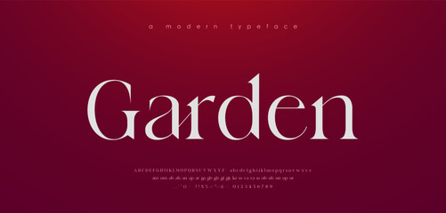Modern Luxury alphabet letters font. Classic Elegant Modern Serif Lettering Minimal Fashion Logo. Typography decoration fonts for branding, wedding, logos. vector illustration