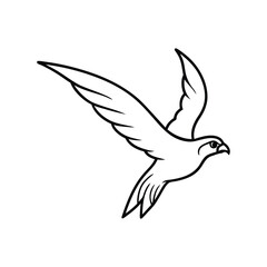 Obraz premium flying falcon with spread wings line art