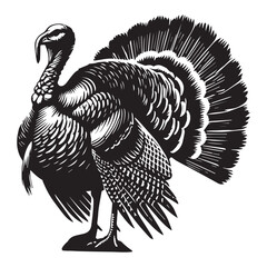 Domestic Turkey Funny Clipart for Animal Lover Gifts and Sublimation

