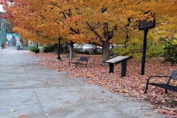 Autumn sidewalk