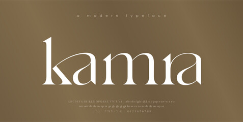 Modern Luxury alphabet letters font. Classic Elegant Modern Serif Lettering Minimal Fashion Logo. Typography decoration fonts for branding, wedding, logos. vector illustration