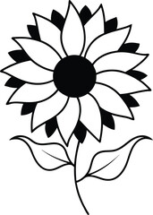 vector illustration of a Sunflower