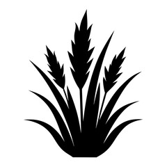 Silhouette of grass and wheat stalks