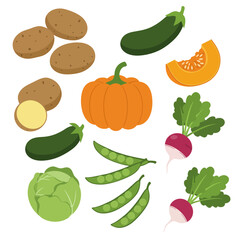A colorful assortment of fresh vegetables, isolated on white background
