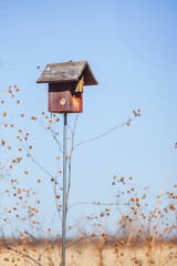 Red birdhouse on post in field with blue sky