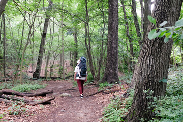 Mom carrying daughter in hiking backpack on nature trail in forest