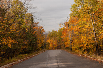 Naklejka premium Paved road lined with vibrant autumn trees under cloudy sky