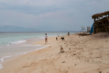Woman walking with three dogs along remote beach near rustic hut