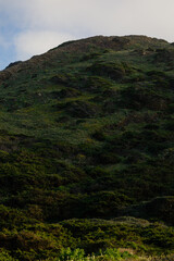 Green hillside overlooking the algarve coast in portugal