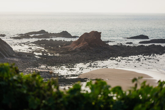Breathtaking tonel beach embraces the rugged algarve coastline a
