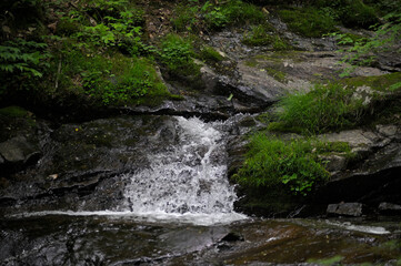 高山市宇津江四十八滝