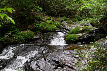 高山市宇津江四十八滝