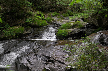 高山市宇津江四十八滝