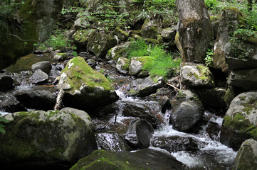 高山市宇津江四十八滝