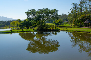 Beautiful landscapes of the Brazilian Fazenda, Rio Grande do Sul, Brazil