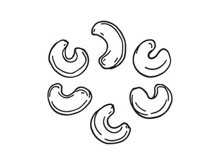Botanical cashew nut drawing in modern line style