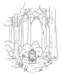 A glowing lantern in the forest