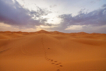 Sunset panoramic landscape views of Erg Chebbi sand dunes located in Morocco on the western edge of...