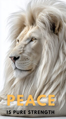 Peaceful Lion Resting Calmly with Glowing White Mane on White Background – Symbol of Serenity and Strength
