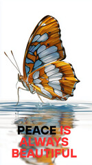 Colorful Butterfly Landing on Still Water – Symbol of Peace and Calm