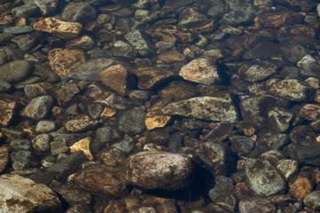Colorful submerged stones seen through crystal-clear alpine stream, July 30, 2020