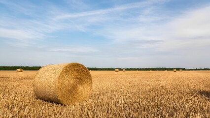 Hay bales in golden fields rural landscape nature photography open sky serenity and harvest season