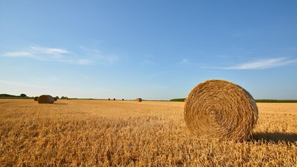 Harvesting bounty golden hay bales on a serene farm rural landscape vibrant sky summer day