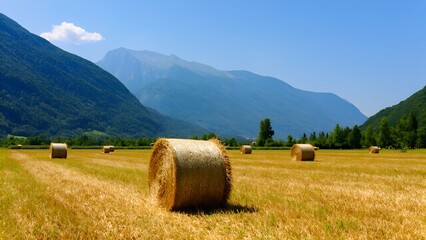 Breathtaking hay bales on a sunny day countryside field nature photography serene landscape wide angle rural beauty