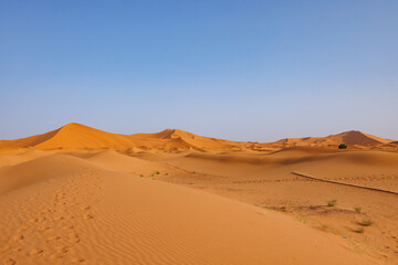 Sunrise panoramic landscape views of Erg Chebbi sand dunes located in Morocco on the western edge of the Sahara Desert