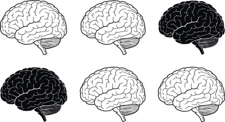 Six brain illustrations arranged in two rows showing brain anatomy in black and white colors