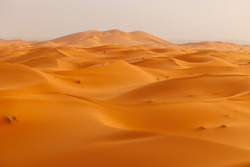 Panoramic landscape views of Erg Chebbi sand dunes located in Morocco on the western edge of the Sahara Desert