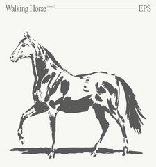 An Elegant Walking Horse Illustration Perfect for Your Creative Projects and Ideas