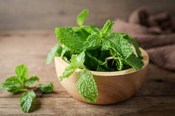 peppermint,spearmint leaves,mint leaves on wooden background
