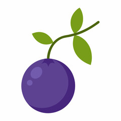 blueberries on branch with leaves