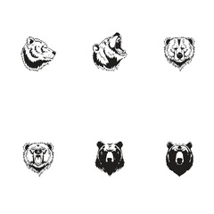 Group bear vector image