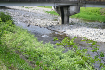間瀬川の流れ