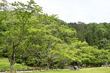 パスカル清見の裏山