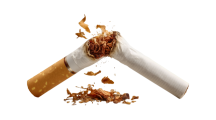 Broken Cigarette Tobacco Scattered Quitting Smoking