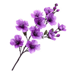 Purple flower on branch on transparent background.